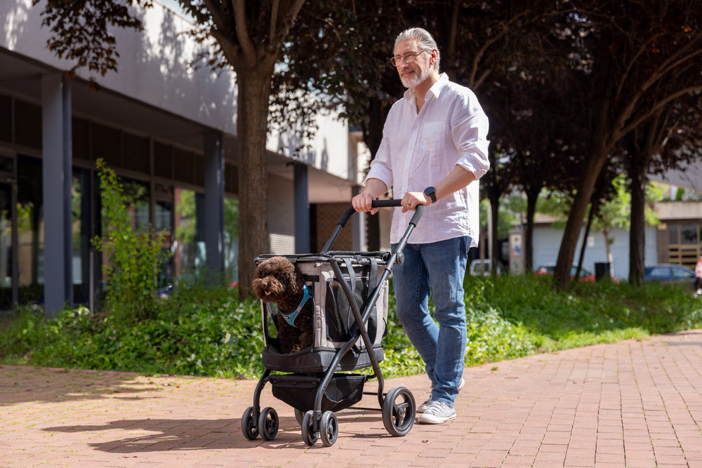 Nuevo lanzamiento: Carro para transportar a tus mascotas Cube P