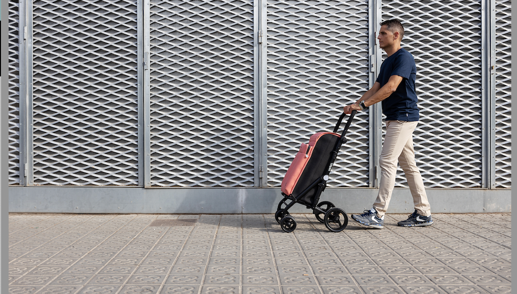 Carro de la compra plegable