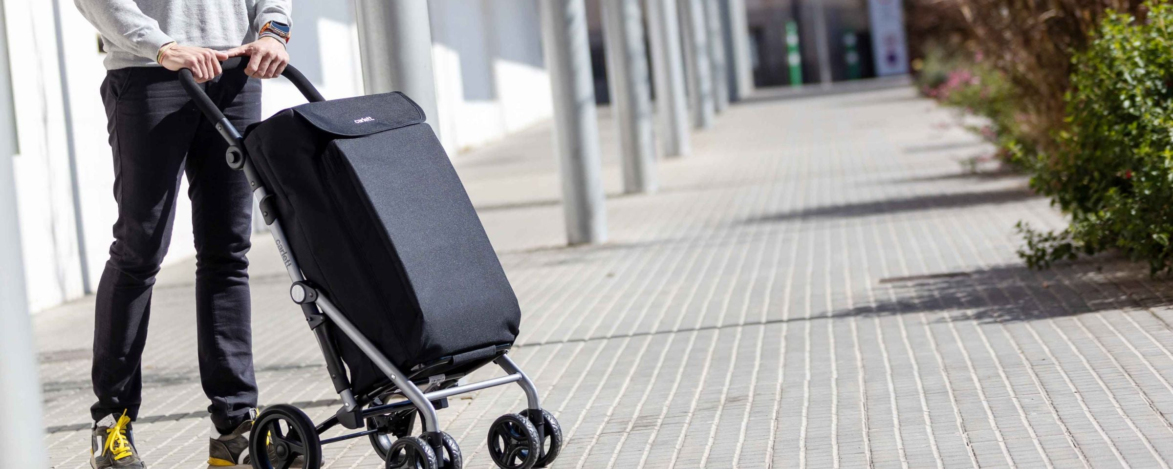 Carro de la compra ligero