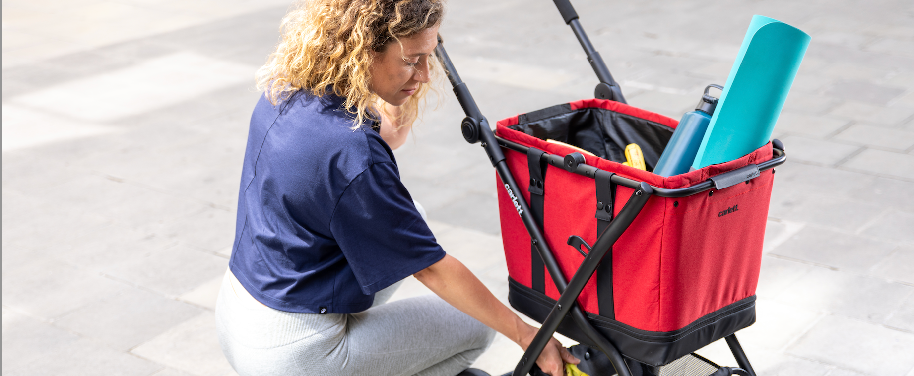 Carros de la compra cesta extraíble