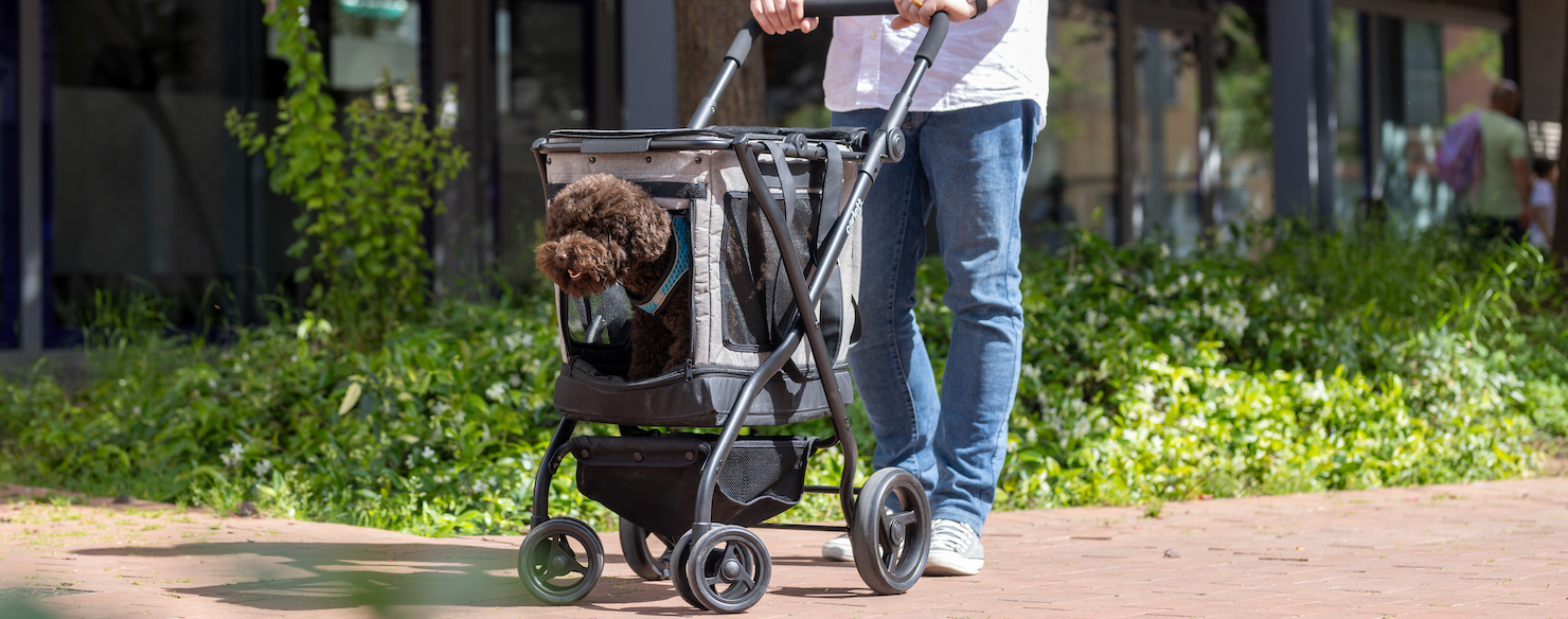 Carros para mascotas