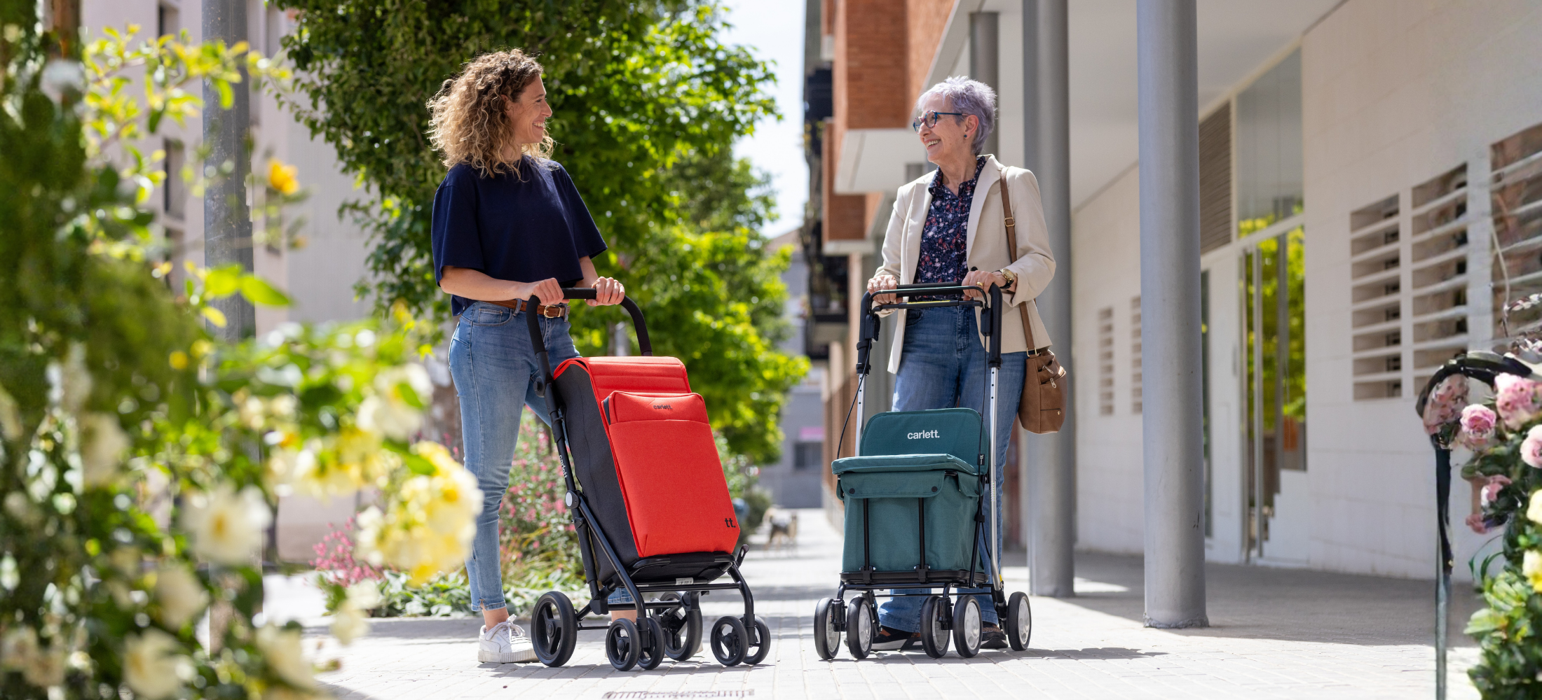 Rebajas Navidad en Carros de la Compra