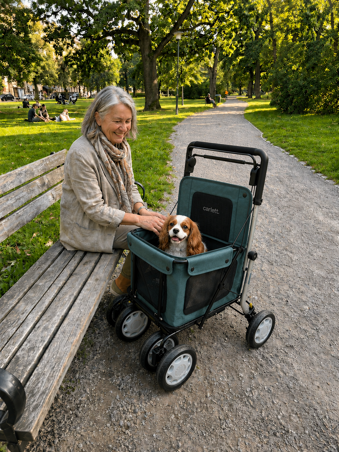Comfort Assist Pets