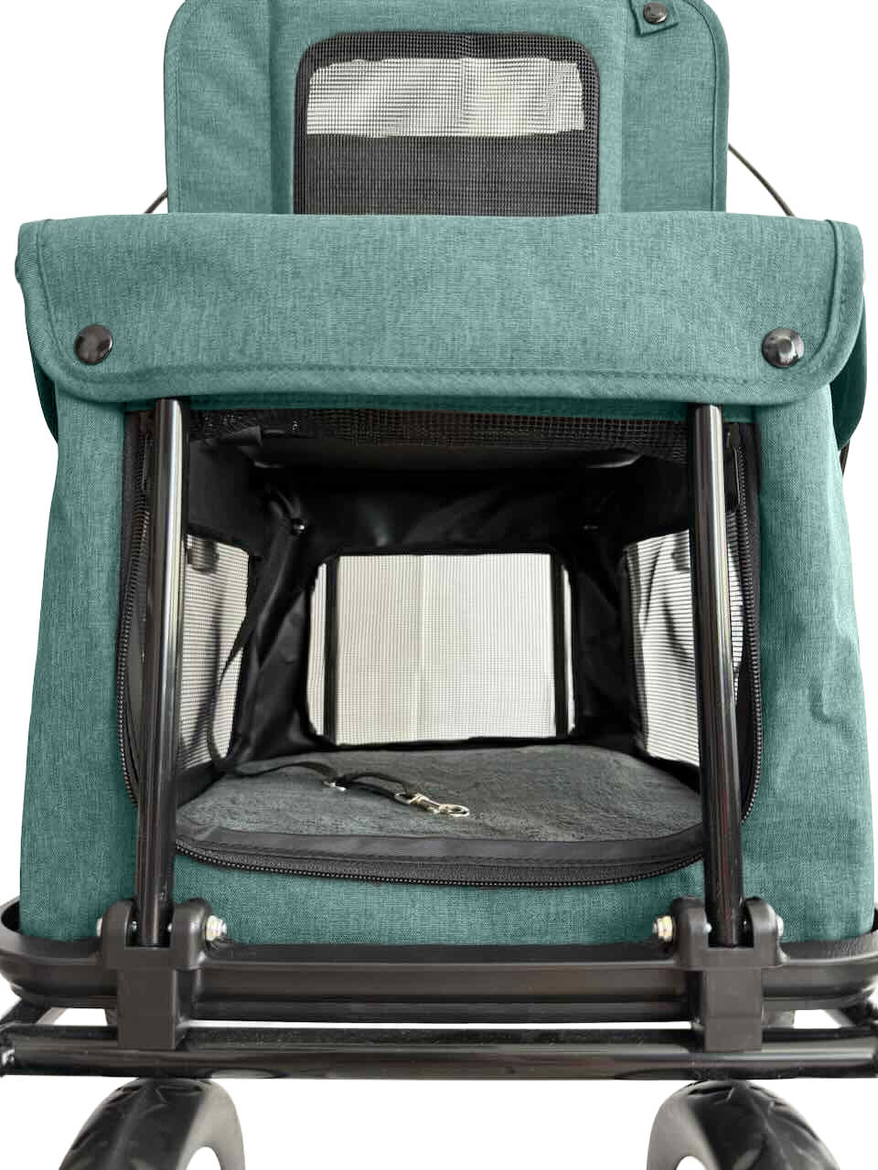 Bolsa para mascotas Assist