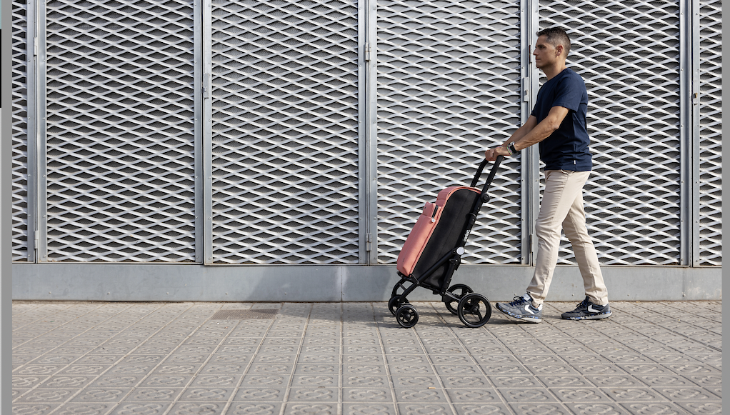Carro de la compra plegable