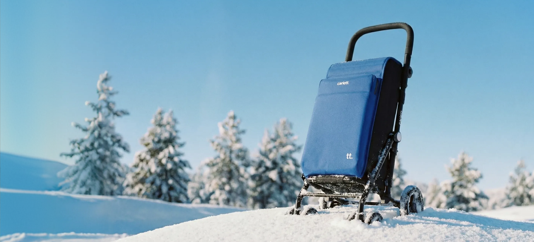 Rebajas Enero en Carros de la Compra