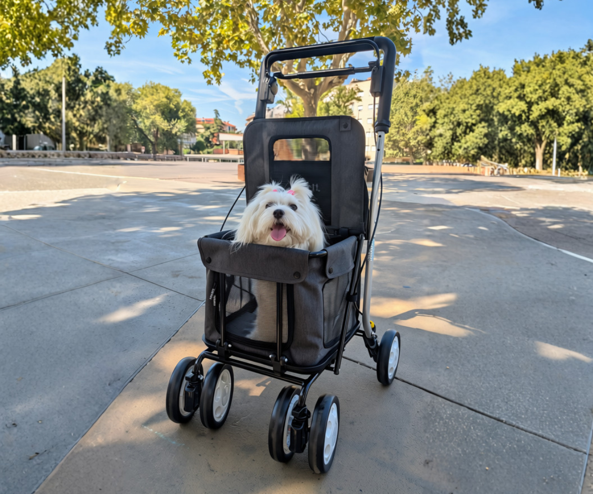 Comfort Move Pets