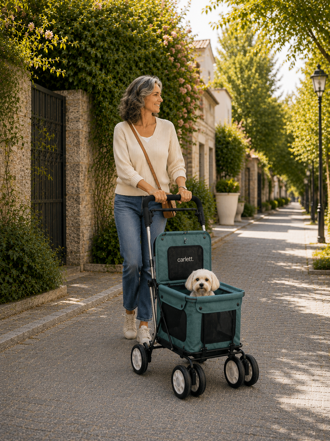 Comfort Assist Pets