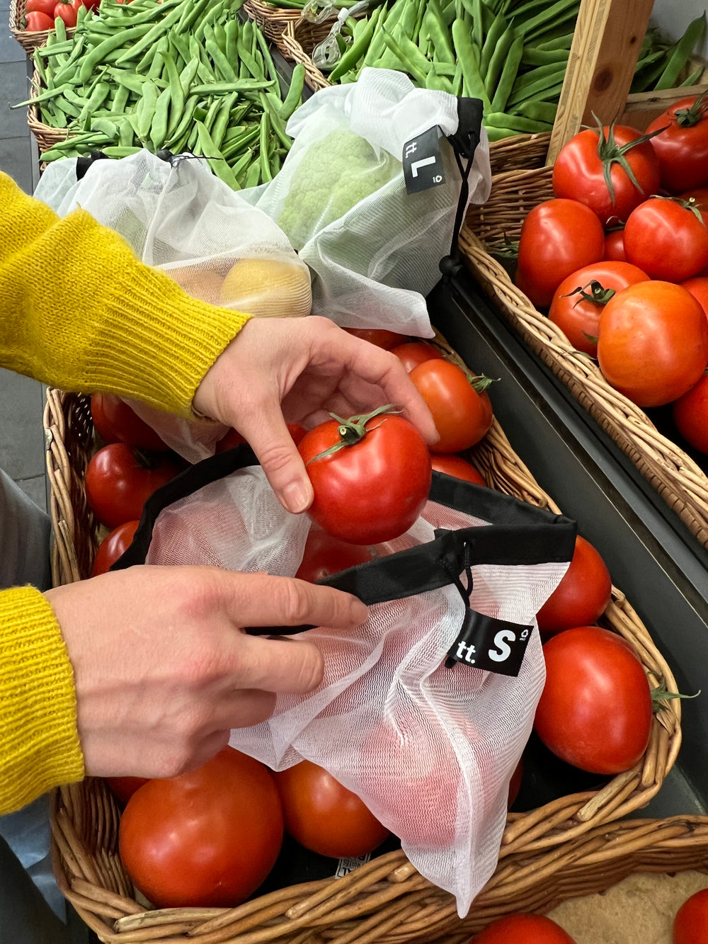Eco Bags pack